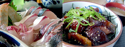 関鯖関鯵定食と琉球丼